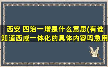 西安 四治一增是什么意思(有谁知道西咸一体化的具体内容吗急用)